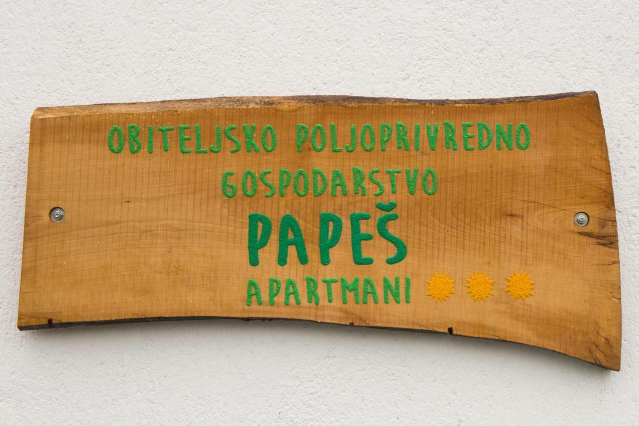 Apartmani Papes 크라피나 외부 사진